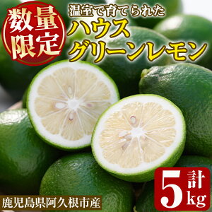 【ふるさと納税】数量限定!ハウスマイヤーグリーンレモン(5kg) 国産 檸檬 果実 果物 フルーツ 柑橘 デザート お菓子作り 期間限定 数量限定【桐野柑橘株式会社】akn070-18