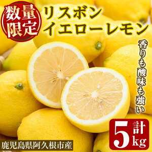 yӂ邳Ɣ[Łzs\tI2025N12{ȍ~\聄ʌIX{CG[(5kg) Y ʎ ʕ X{ t[c EG k fU[g Ԍy˖