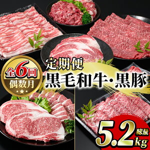 yӂ邳Ɣ[Łz_]4.67lI^ցES6()YјaEؒ(ʖ5.2kg)Y BY Y  Y ؓ Zbg T[C Xe[L ؂藎