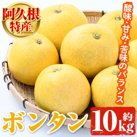 【ふるさと納税】阿久根特産 ボンタン(10kg) 国産 果物 ボンタン ぼんたん フルーツ スイーツ 贈答用 ギフト 柑橘 期間限定【松永青果】akn053-28