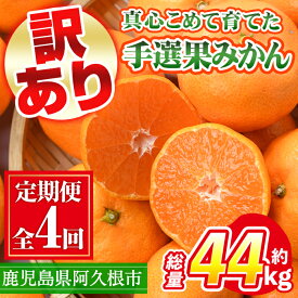 【ふるさと納税】＜定期便・全4回(10月・11月・12月・1月)＞＜訳あり・不揃い＞鹿児島県産！手選果みかん(総量約44kg・約11kg×4回)国産 蜜柑 柑橘 果物 フルーツ ミカン 旬 冬 ご家庭用 おすそ分け【三笠農業生産】a-96-1