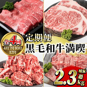 yӂ邳Ɣ[ŁzցES4(4E7E10E12)YIјai(2.3kg)Y BY Y  Y    XCX T[C Xe[L 