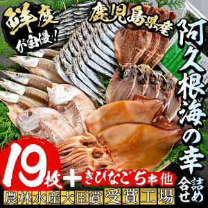 yӂ邳Ɣ[ŁzYIlߍ킹8큄Y BY Y  Ђ @ ^C  AW ܂  тȂ E ̂ Zbg lyԐYzakn001-06
