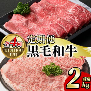 yӂ邳Ɣ[ŁzցES4(4E7E10E12)YIјaXCX(2kg)Y BY Y  Y XCX [XXCX Ԃ 
