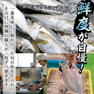 【ふるさと納税】鹿児島県産!干物など詰め合わせ<4種>鯵(アジ)、鯖(サバ)など干物11枚にいわしフライ5枚の計16枚セット!あくねのお魚づくし【又間水産】1-1