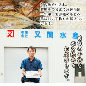 【ふるさと納税】鹿児島県産!干物など詰め合わせ<4種>鯵(アジ)、鯖(サバ)など干物11枚にいわしフライ5枚の計16枚セット!あくねのお魚づくし【又間水産】1-1