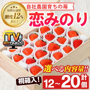 yӂ邳Ɣ[Łz_erŏЉ܂I^s\tI2026N1ȍ~\聄eʂIׂI˔IД_Y ݂̂(v12`20)  v ʕ t