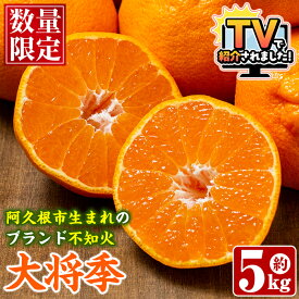 【ふるさと納税】＼テレビで紹介されました！高評価★4.62獲得！／数量限定！阿久根市で生まれたオリジナル品種「大将季」(約5kg・15〜24玉) 果物 フルーツ 柑橘 果実 ハウス栽培 ギフト【鹿児島いずみ農業協同組合】akn018-22