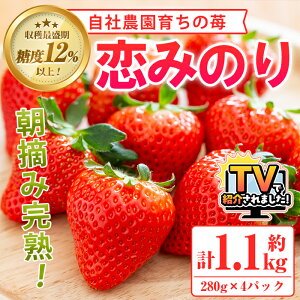 yӂ邳Ɣ[Łz_erŏЉ܂I^s\tI2026N1ȍ~\聄_K[fY ݂̂Zbg(v1.1kgE280g×4P)Y C`S  t[c ʕ  