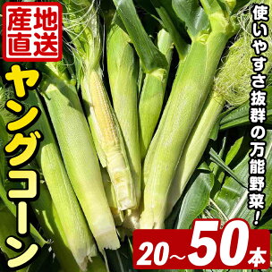＜本数が選べる！＞ ヤングコーン (20〜50本) 国産 ...