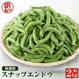 【ふるさと納税】＜先行予約受付中！2026年1月以降順次発送予定＞訳あり！鹿児島県産 スナップエンドウ(約2kg) 国産 野菜 スナップエンドウ スナップえんどう おつまみ サラダ 炒め物 訳アリ サイズ混合【松永青果】akn053-07
