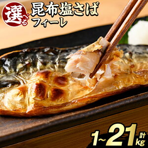 yӂ邳Ɣ[Łz_]4.74lI^eʁE񐔂IׂI󂠂Iz΃tB[(AiBiorBî݁Ev1`21kg) e {[ To I  ܂ y Ă 