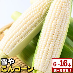 yӂ邳Ɣ[Łzs\tI2025N10{ȍ~\聄eʂIׂIƂ낱u₱R[v(6`16{) Y gERV 冋o zCg R[  