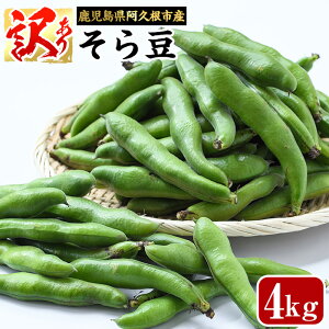 �y�ӂ邳�Ɣ[�Łz����s�\���t���I2026�N4�����{�ȍ~���������\�聄�󂠂�I�����������v���s�Y���瓤(4kg) ��� �{ �t��� ��A�� ���Y ���������Y ���v���s�Y ���瓤 �\���}�� ���܂�