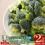 鹿児島県産冷凍ブロッコリー(合計2kg・約250g×8袋) 大容量 国産 野菜 冷凍 冷凍野菜 小分け【合同会社グッドフィールド】a-12-148
