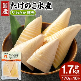 【ふるさと納税】国産たけのこ水煮 穂先のみ (計1.7kg・170g×10P) 小分け 国産 九州産 たけのこ 筍 タケノコ 水煮 常温保存 常温 料理 煮物 炊き込みご飯 おでん 料理 お手軽 【旬彩館】