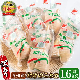 【ふるさと納税】＜訳あり＞九州産たけのこ水煮(200g×8P・計1.6kg) たけのこ 筍 タケノコ 水煮 国産 訳アリ 訳あり 常温保存 常温 料理 煮物 炊き込みご飯 おでん 料理 お手軽 【マツバラ】