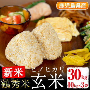 記事番号:33317/アイテムID:103946の画像