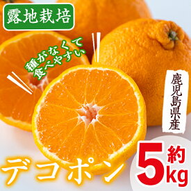【ふるさと納税】≪先行予約受付中！2026年3月上旬から順次発送≫鹿児島県産！デコポン(約5kg・L~4Lサイズ 15~24玉) 国産 みかん 柑橘 種なし 果物 くだもの フルーツ 旬 露地裁場 【JA鹿児島いずみ(果実課)】