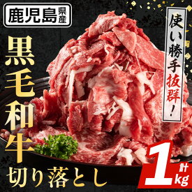 【ふるさと納税】鹿児島県産 黒毛和牛 切り落とし (計1kg・500g×2パック) 国産 九州産 鹿児島産 黒毛和牛 牛肉 国産牛 切り落とし 切落し 小分け 冷凍配送 【スターゼン】