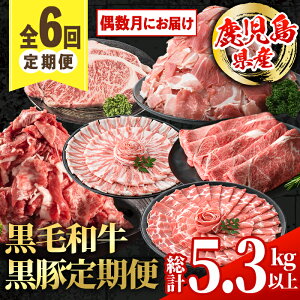 yӂ邳Ɣ[ŁzցEv6() Y јa   (v5.3kgȏ) Y BY Y јa  Y  ؓ T[C Xe[L ؂藎Ƃ ؗ
