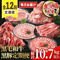 畜産大国鹿児島から毎回お届け内容が異なる定期便をお届け！ふるさと納税 出水...