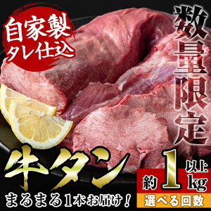 yӂ邳Ɣ[Łz񐔂IׂIƐ\~[tЂ ^ (1{E1kgȏ / 2 )  2 AJY ^ ^ Ă ē BBQ  󏭕 ubN  ^