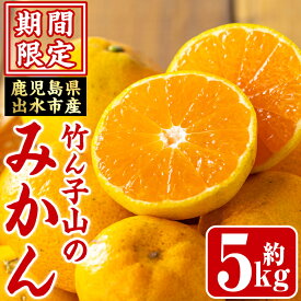 【ふるさと納税】＜2026年2月上旬~3月上旬の間に順次発送予定＞≪数量・期間限定≫いずみ産 竹ん子山のみかん(約5kg) 鹿児島 国産 九州産 みかん ミカン 蜜柑 柑橘 くだもの フルーツ 果実 【イーサイドライン】