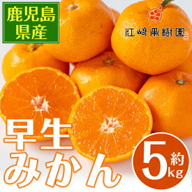【ふるさと納税】 ＜数量・期間限定＞鹿児島みかん 早生系 (約5kg) みかん 蜜柑 ミカン 柑橘 早生 果物 フルーツ 果実 国産 鹿児島 数量限定 期間限定 【江崎果樹園】