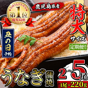 �y�ӂ邳�Ɣ[�Łz�_����T�C�Y�^ �������I�ׂ�I ���������Y ���Ȃ����� ( 2�� / 3�� / 5�� / ����� ) ���N�̓� �\���t���� 1�� ��220g ���� �R���t�����Ȃ� �V �E�i�M ���� ����T�C�Y ����V 