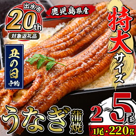 【ふるさと納税】＼特大サイズ／ 尾数が選べる！ 鹿児島県産 うなぎ蒲焼 ( 2尾 / 3尾 / 5尾 / 定期便 ) ＜丑の日 予約受付中＞ 1尾 約220g たれ 山椒付きうなぎ 鰻 ウナギ 特大 特大サイズ 特大鰻 蒲焼き 国産 鹿児島県産 生産量日本一 おかず 晩御飯 【薩摩川内鰻】