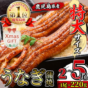 yӂ邳Ɣ[ŁzyNX}XMtgz_TCY^ IׂI Y Ȃ ( 2 / 3 / 5 ) 1 220g  RtȂ V EiM  TCY V Ă 