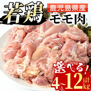 yӂ邳Ɣ[ŁzsIׂeʁtY {  (v4kgEv8kgEv12kg) {  Ƃ   Y Y 2kg 4kg 8kg 12kg SS Ⓚ y܂ڂz
