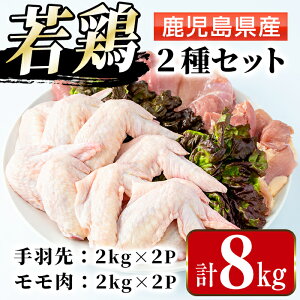 yӂ邳Ɣ[ŁzY {EHZbg (2kg×2PEv8kg ) {  H Y BY   H H `L Ⓚ Zbg lߍ킹 y܂ڂz
