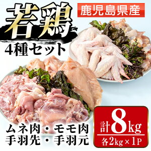 yӂ邳Ɣ[ŁzY {4Zbg (lEEHEH / e2kg×1PEv8kg ) { ނ˓  H H Y BY   l H H H `L