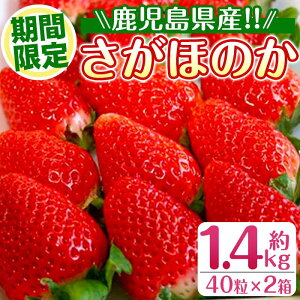 �y�ӂ邳�Ɣ[�Łz��2026�N1�����{�ȍ~���������\�聄���M�t�g�p�E���ʌ��聄 ���������Y�C�`�S(�v��1.4kg�E40��×2��) �C�`�S � �����ق̂� �ʕ� �������� �t���[�c �{ ��B�Y �v���[���g �M�t