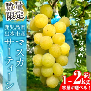 yӂ邳Ɣ[ŁzᐔʁEԌ }XJT[eB[ (v1kg / v1.5kg / v2kg) Y  os Ԃǂ uhE ʕ  t[c }XJET[eB[ }XJbg  { 