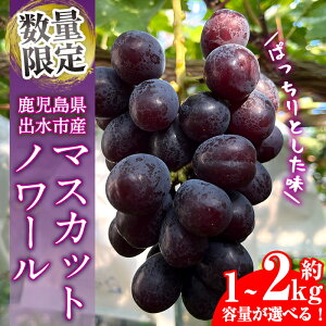 yӂ邳Ɣ[ŁzᐔʁEԌ }XJbgm[ (v1kg / v1.5kg / v2kg) Y  os Ԃǂ uhE ʕ  t[c }XJbgm[ }XJbg  { 