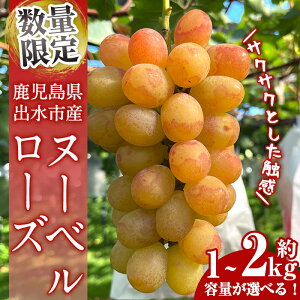 yӂ邳Ɣ[ŁzᐔʁEԌ k[x[Y (v1kg / v1.5kg / v2kg) Y  os Ԃǂ uhE ʕ  t[c k[x[Y  { Ȃ {  