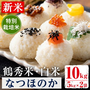 yӂ邳Ɣ[ŁzʌIVā ߘa7NY ߏG Ȃق̂  (5kg×2܁E10kg) ʍ͔|   10kg Y V ɂ ͂ yGOOD TIMEz