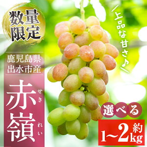 yӂ邳Ɣ[ŁzᐔʁEԌqeʂIׂIrԗ(ZLC) (v1kg^v1.5kg^v2kg) Ԃǂ O[v ʕ  t[c  { x iȊÂ  ① yR