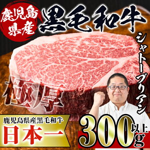 yӂ邳Ɣ[ŁzYIјaVg[uA(300gȏ)   јa Y tB Vg[uA  󏭕 i SS Ⓚ yX[p[悵z