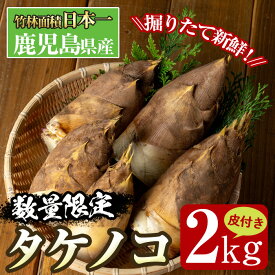 【ふるさと納税】≪数量限定！先行予約受付中！2026年3月下旬～4月中旬の間に発送≫鹿児島県出水市産！たけのこ＜皮付き2kg＞ たけのこ 筍 タケノコ 国産 皮付き 野菜 旬 新鮮 採りたて 煮物 味噌汁 炊き込みご飯 【シンタク】