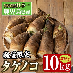 �y�ӂ邳�Ɣ[�Łz�ᐔ�ʌ���I��s�\���t���I2026�N4����{�`4�����{�̊Ԃɔ����\��⎭�������o���s�Y�I�^�P�m�R����t��10kg�� �����̂� � �^�P�m�R ���Y ��t�� ��� �{ �V�N �̂肽��