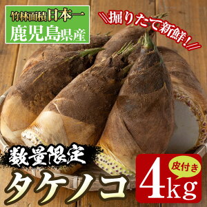 �y�ӂ邳�Ɣ[�Łz�ᐔ�ʌ���I��s�\���t���I2026�N4����{�`4�����{�̊Ԃɔ����\��⎭�������o���s�Y�I�^�P�m�R����t��4kg�� �����̂� � �^�P�m�R ���Y ��t�� ��� �{ �V�N �̂肽�� 