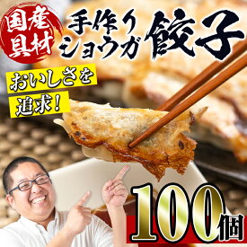 【ふるさと納税】国産豚肉使用！手作りショウガ餃子100個セット(10個×10パック たれ付き） 餃子 ぎょうざ ニンニク不使用 しょうが 生姜 冷凍 おかず おつまみ 惣菜 小分け 国産原料【スーパーよしだ】