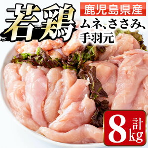 yӂ邳Ɣ[Łz{lEHE(v8kg) {  Ƃ l ނ˓ H  lߍ킹 Zbg Y Y v8kg SS y܂ڂz