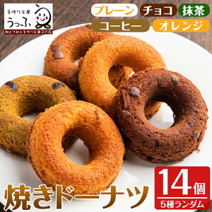 yӂ邳Ɣ[ŁzXlC̏Ăh[icIӃŐlߍ킹I(5̖烉_Ev14) h[ic Ăh[ic َq َq XC[c  wV[  Mtg yY 