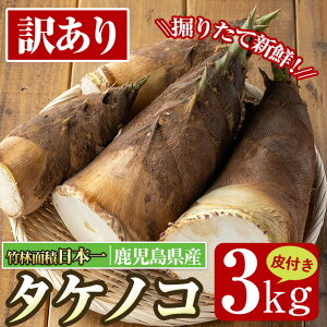 yӂ邳Ɣ[ŁzᐔʌIs\tI2026N4{`4{̊Ԃɔ\y󂠂zosYI^PmRt3kg ̂  ^PmR Y t A 