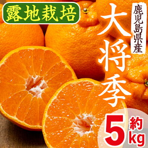 yӂ邳Ɣ[Łzs\tI2026N3{菇\⎭osYIIn͔|叫G(5kgE18`20) 叫G k   ݂ t[c { In͏